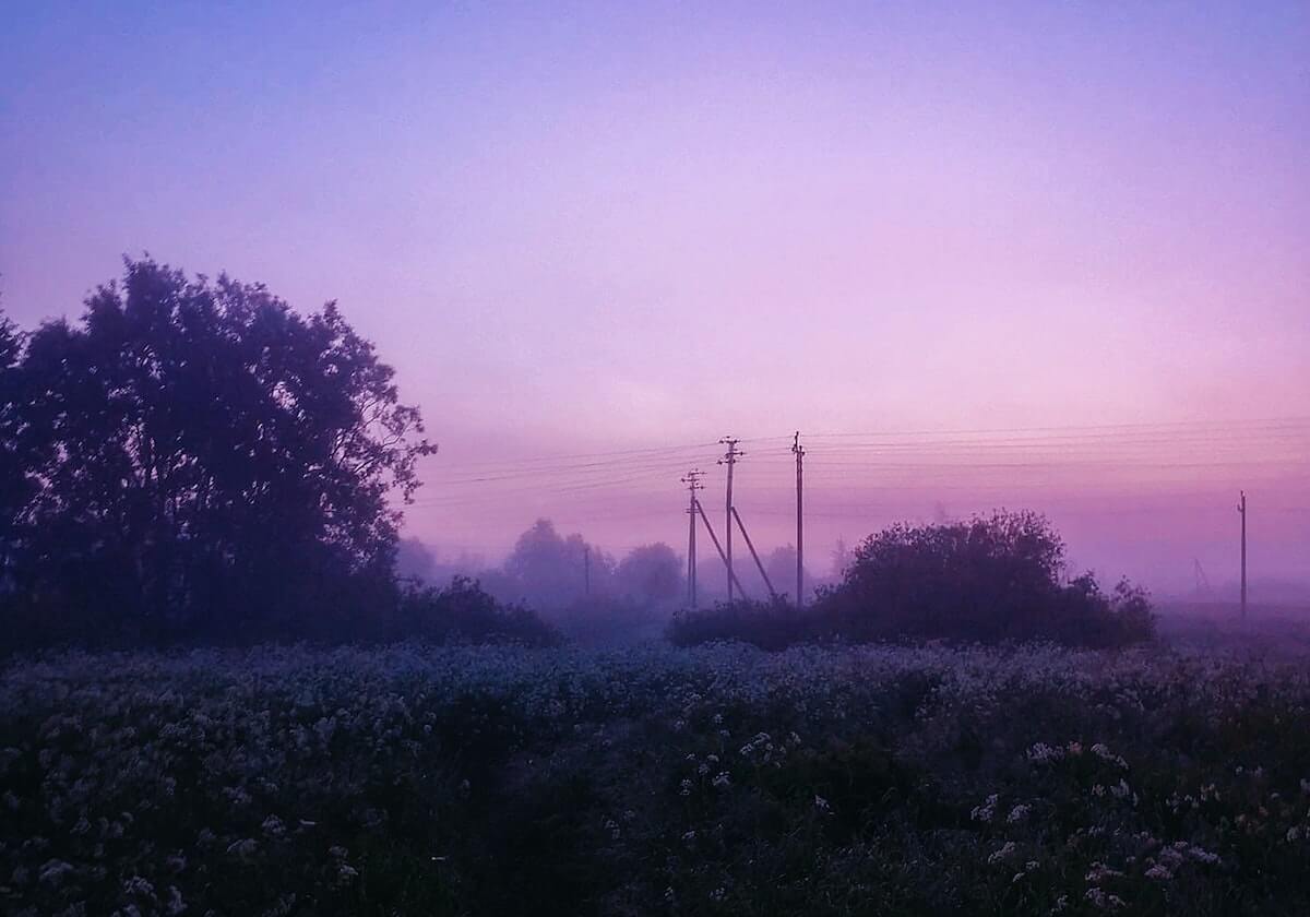 8868体育官方网站：以数据之力点亮每一场精彩